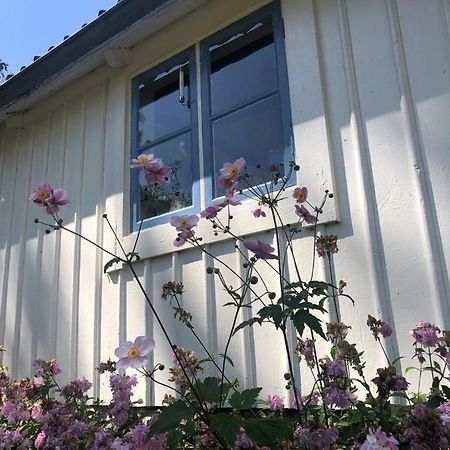 Seaside Cottage Haga Park Frobygarda Zewnętrze zdjęcie